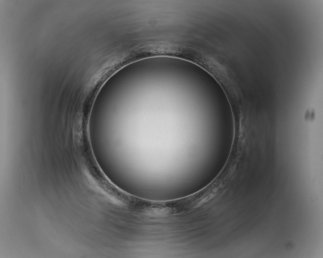 X0000113990202200910021231