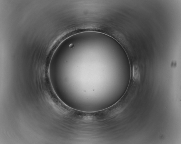 X0000113990204200910021231