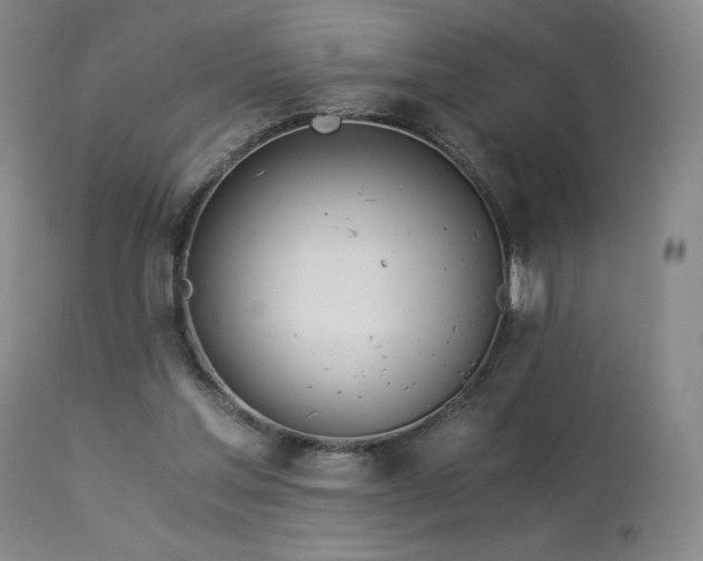 X0000113990205200910021231