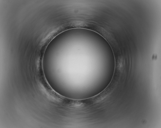 X0000113990206200910021231