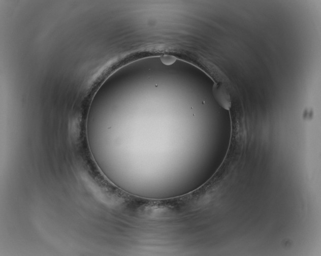 X0000113990208200910021231