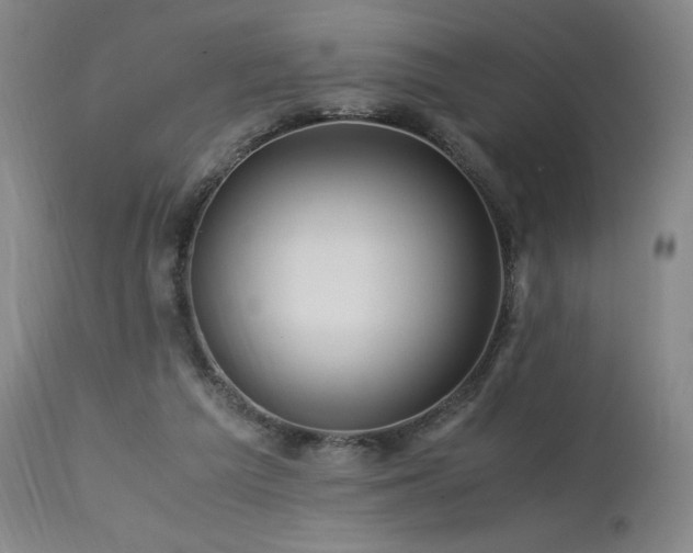 X0000113990209200910021231