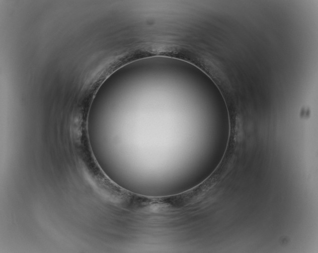 X0000113990210200910021231