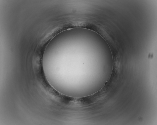 X0000113990211200910021231