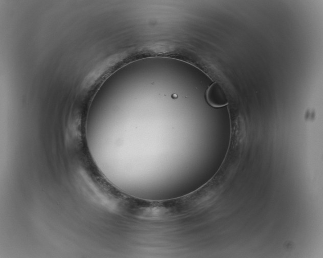 X0000113990212200910021231