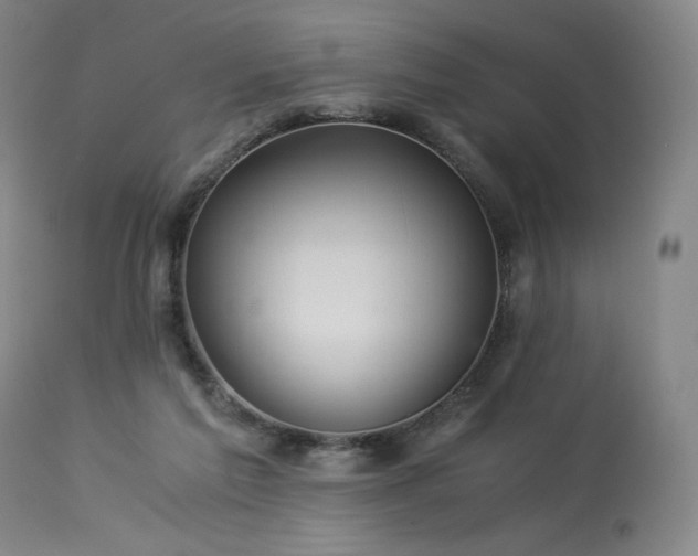 X0000113990213200910021231