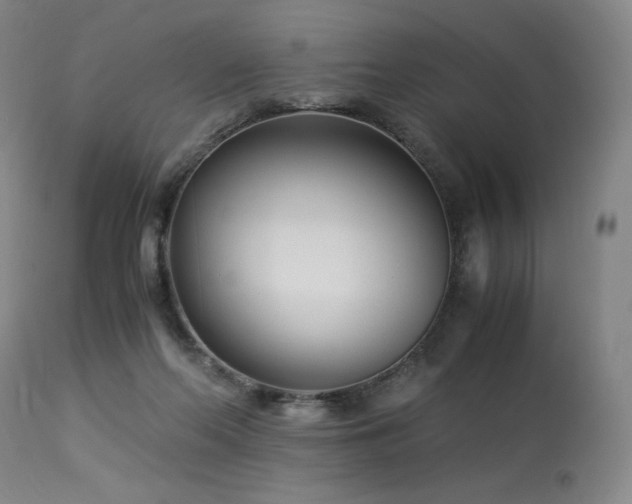 X0000113990214200910021231