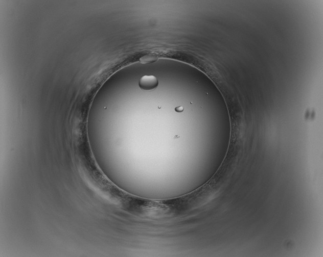 X0000113990215200910021231