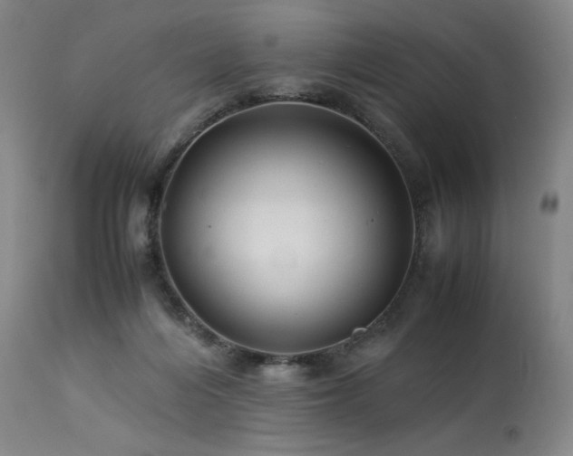 X0000113990216200910021231