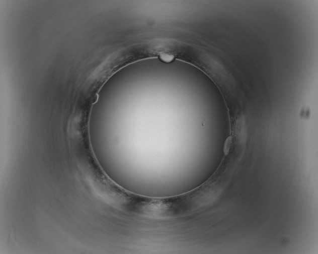 X0000113990217200910021231