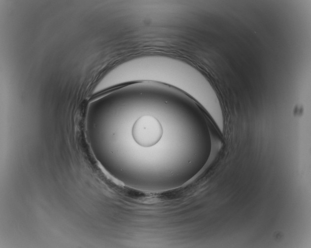 X0000113990219200910021231