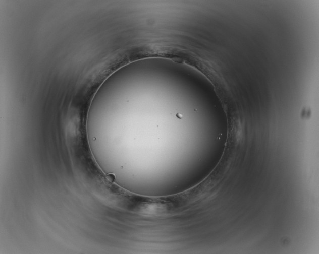 X0000113990220200910021231