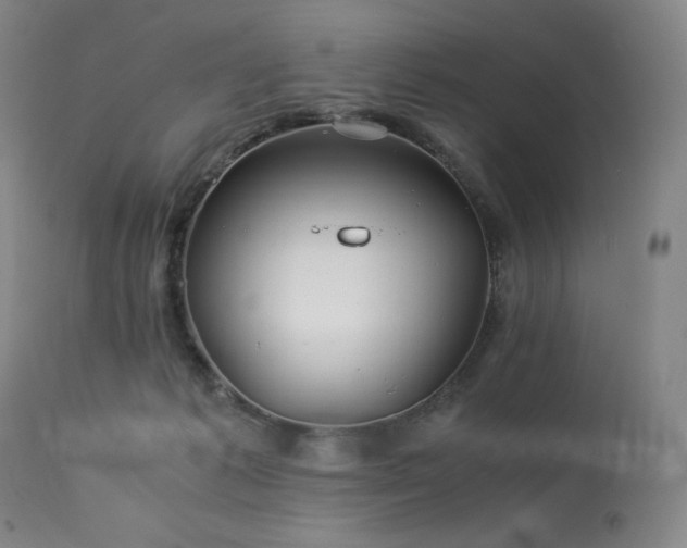 X0000113990221200910021231