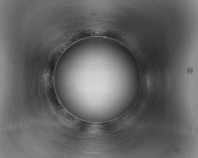 X0000113990222200910021231