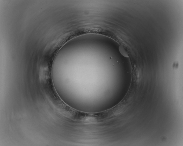 X0000113990224200910021231