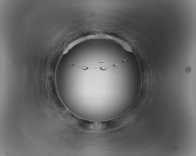 X0000113990225200910021231