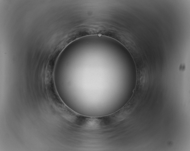 X0000113990226200910021231