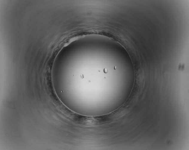 X0000113990229200910021231