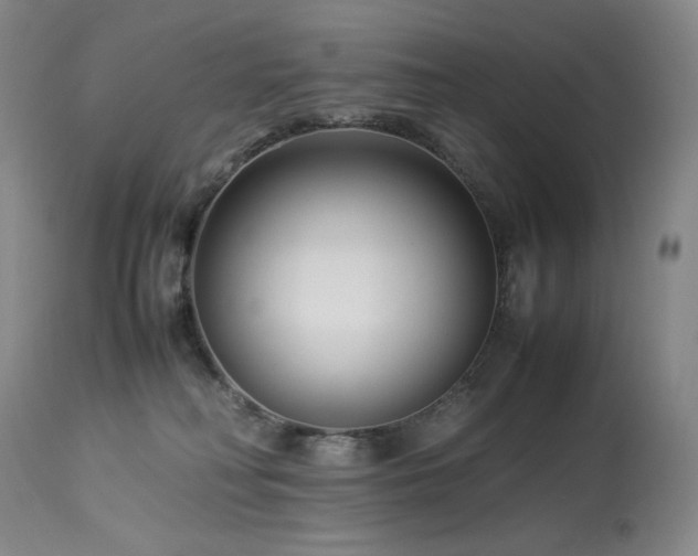 X0000113990230200910021231