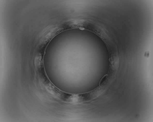 X0000113990231200910021231