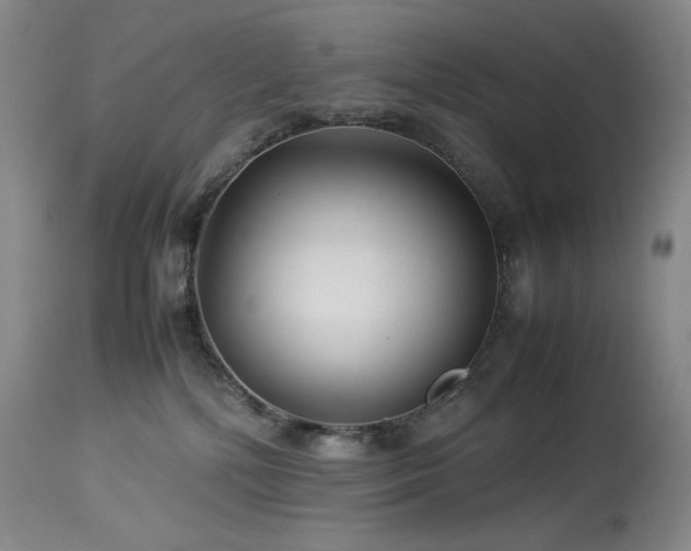 X0000113990232200910021231