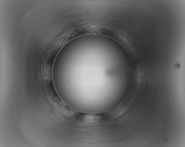 X0000113990234200910021231