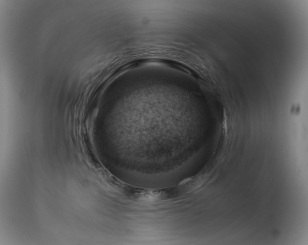 X0000113990235200910021231