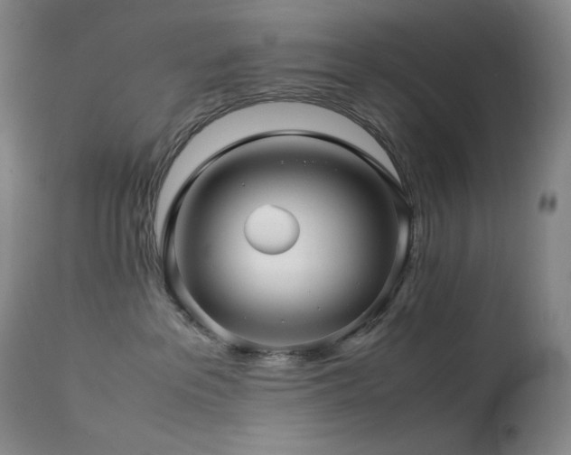 X0000113990237200910021231