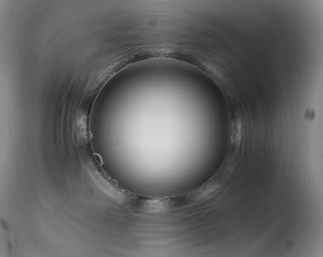 X0000113990238200910021231