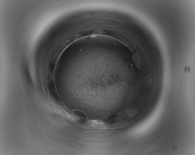 X0000113990239200910021231