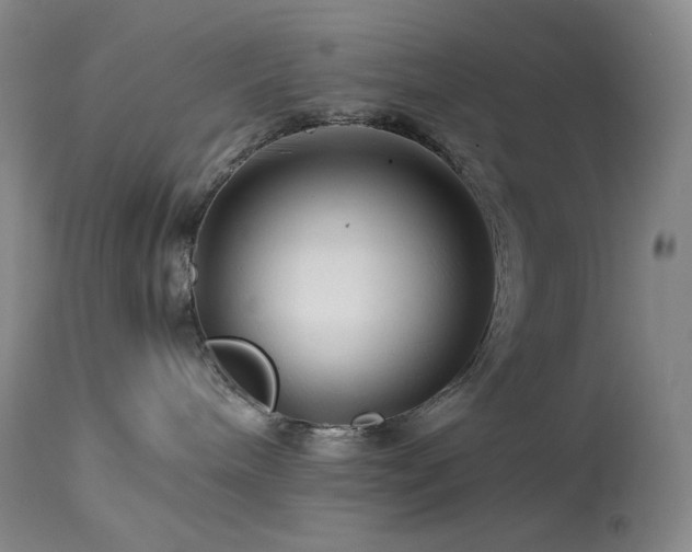 X0000113990240200910021231