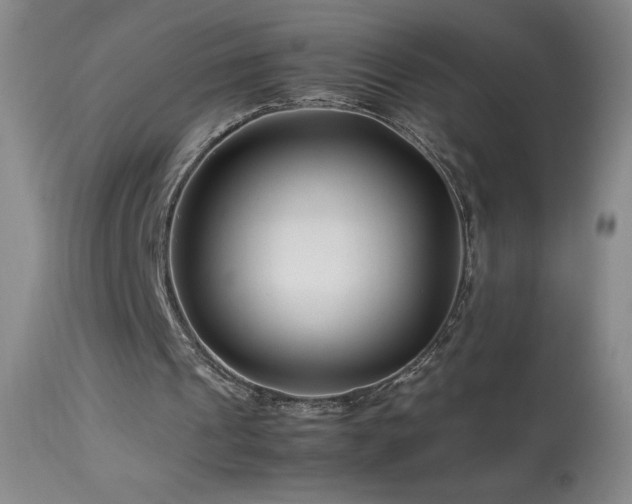 X0000113990241200910021230