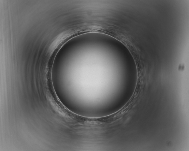 X0000113990242200910021230