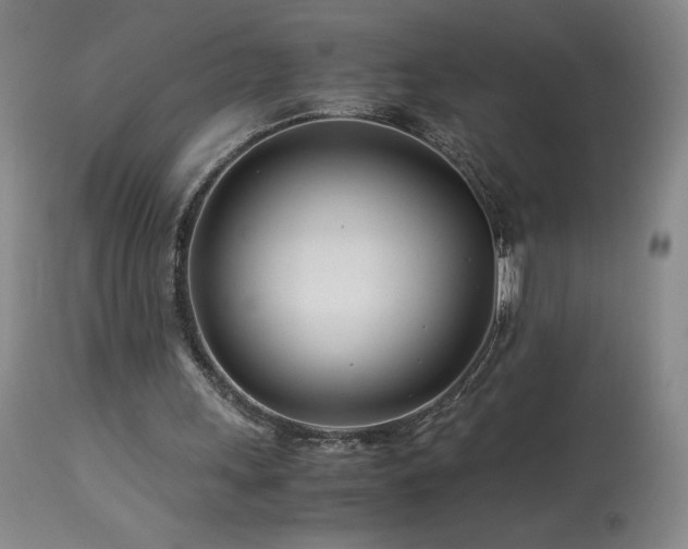 X0000113990243200910021230