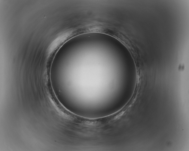 X0000113990245200910021230