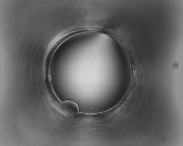 X0000113990246200910021230