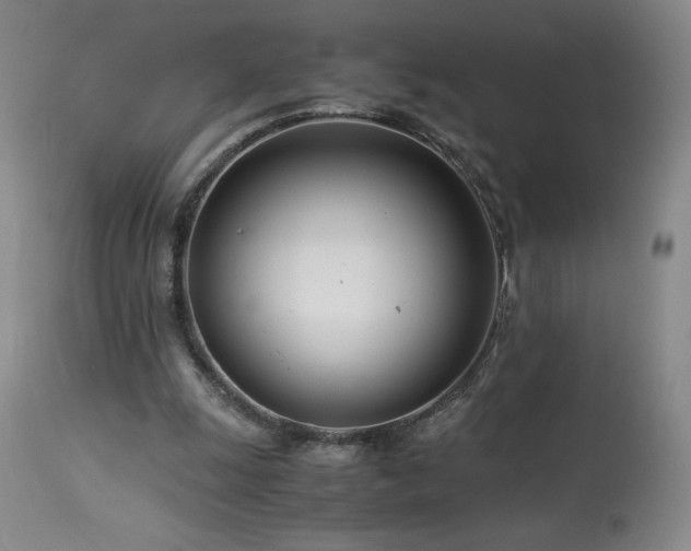 X0000113990247200910021230