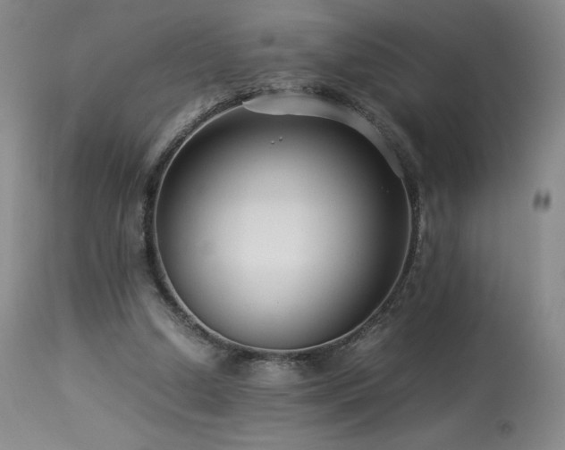 X0000113990250200910021230