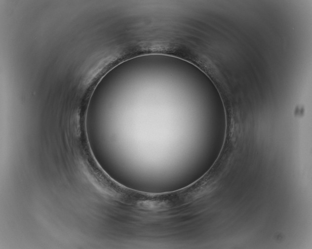 X0000113990251200910021230