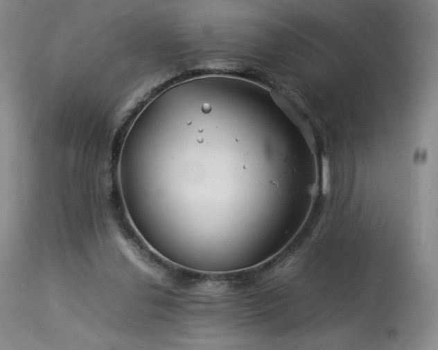 X0000113990252200910021230