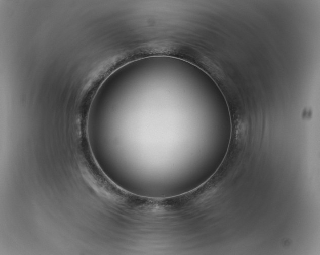 X0000113990254200910021230