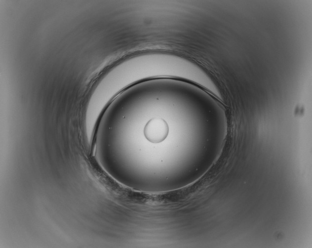 X0000113990256200910021230