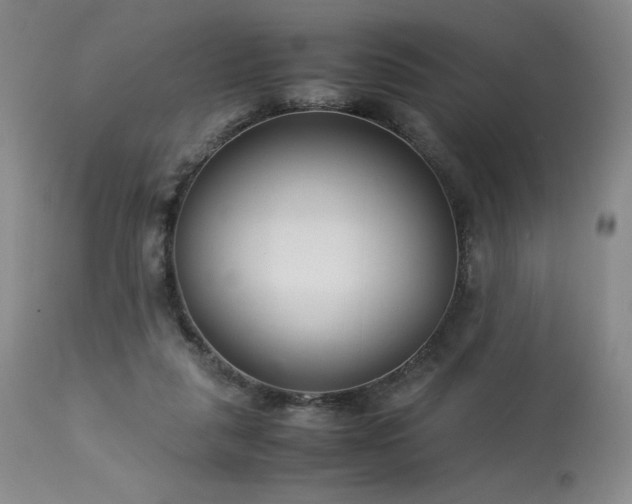 X0000113990259200910021230