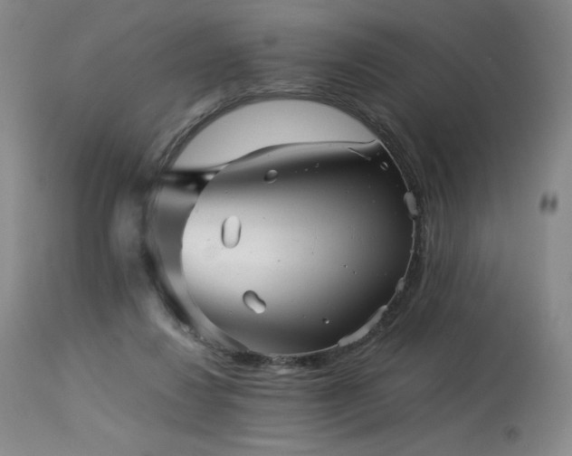 X0000113990260200910021230