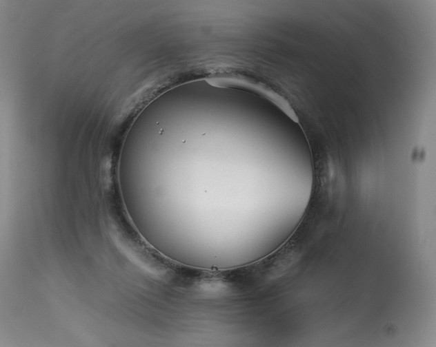 X0000113990262200910021230