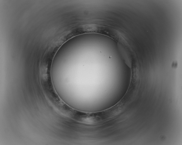 X0000113990267200910021230