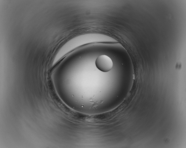 X0000113990268200910021230