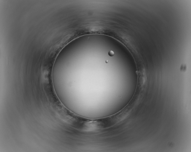 X0000113990269200910021230