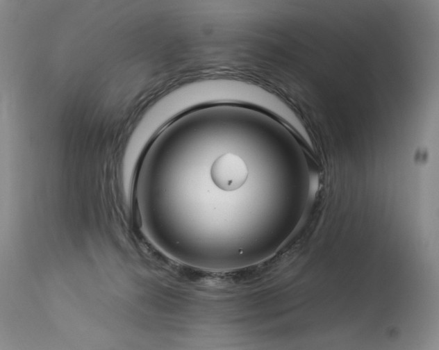 X0000113990272200910021230