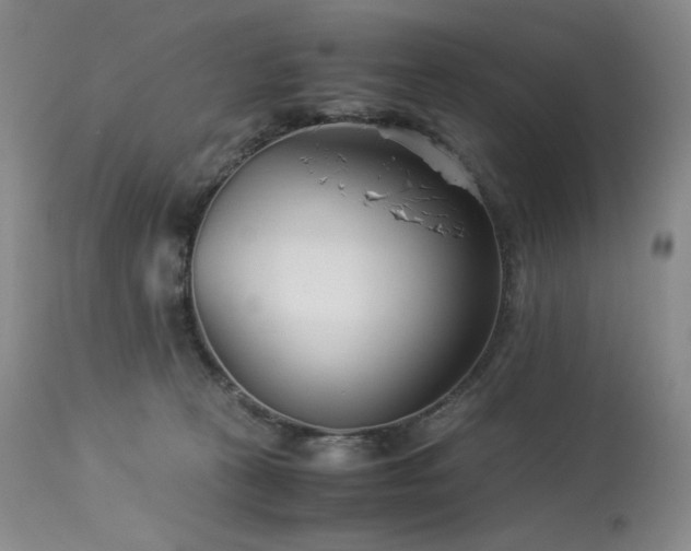 X0000113990273200910021230